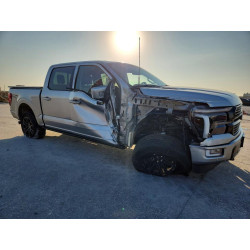 2025 FORD F150 PLATI 1FTFW7L8XSFB48885 47058686