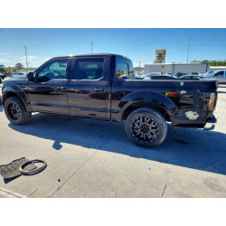2020 FORD F-150 1FTEW1E40LKE32716 50101486