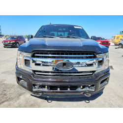 2020 FORD F-150 1FTEW1E40LKE32716 50101486