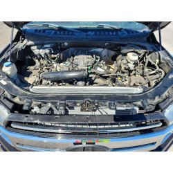 2020 FORD F-150 1FTEW1E40LKE32716 50101486