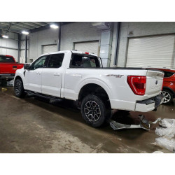 2023 FORD All Models 1FTFW1E5XPKD41388 41936556