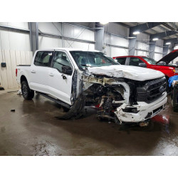 2023 FORD All Models 1FTFW1E5XPKD41388 41936556