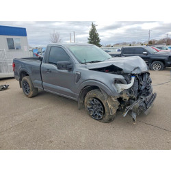2025 FORD F150 1FTMF1L56SKD91546 48063156