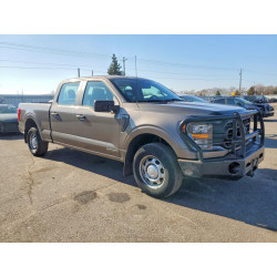 2023 FORD F-150 1FTFW1ED2PFA33180 48538086