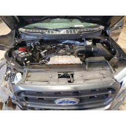 2021 FORD F-150 1FTEW1EP4MFC99527 49477466