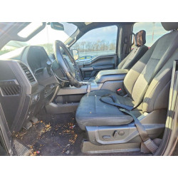 2020 FORD F-150 1FTEW1EP8LFB45675 48617886