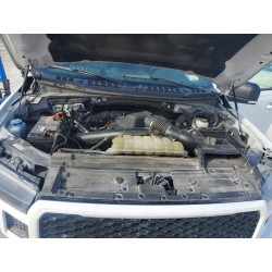 2020 FORD F-150 1FTEW1E44LFB51446 79807415