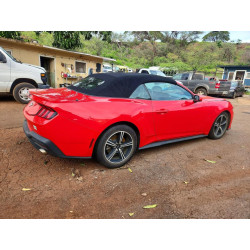 2024 FORD ALL Models 1FAGP8UH1R5130268 47292326