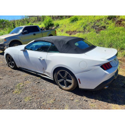 2024 FORD ALL Models 1FAGP8UH5R5112906 47658296