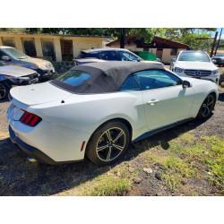 2024 FORD ALL Models 1FAGP8UH5R5112906 47658296