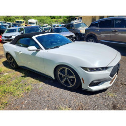 2024 FORD ALL Models 1FAGP8UH5R5112906 47658296