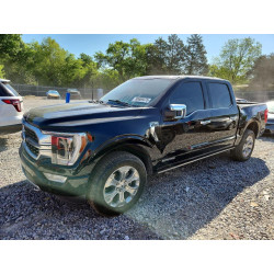 2021 FORD F-150 1FTFW1ED7MFC79668 50659476