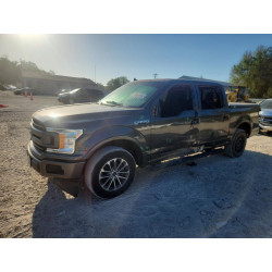 2020 FORD All Models 1FTEW1CP7LKE33181 49963886