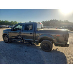 2020 FORD All Models 1FTEW1CP7LKE33181 49963886