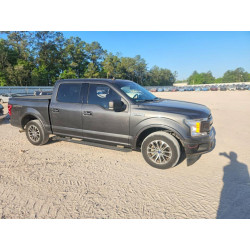 2020 FORD All Models 1FTEW1CP7LKE33181 49963886