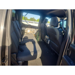 2020 FORD All Models 1FTEW1CP7LKE33181 49963886