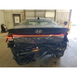 2025 HYUNDAI ELANTRA KMHLS4DG3SU966291 47441246