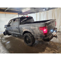 2024 FORD F150 STX 1FTEW2LP2RKF20212 75067065