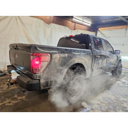 2024 FORD F150 STX 1FTEW2LP2RKF20212 75067065