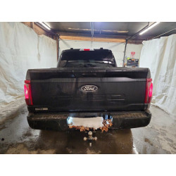 2024 FORD F150 STX 1FTEW2LP2RKF20212 75067065