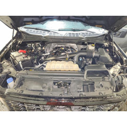 2024 FORD F150 STX 1FTEW2LP2RKF20212 75067065