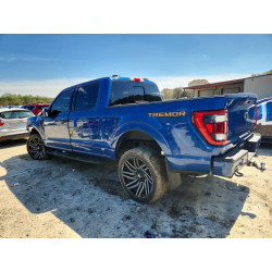2022 FORD F-150 1FTEW1E81NFB36411 48656046