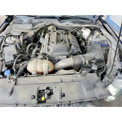 2020 FORD ALL Models 1FA6P8TH5L5103997 48162336
