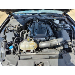 2020 FORD ALL Models 1FATP8UH7L5122732 48990946
