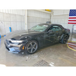 2024 FORD ALL Models 1FAGP8UH2R5133745 50471516