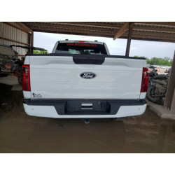 2024 FORD F150 STX 1FTEX2KP5RKD68389 48989406