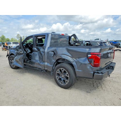 2025 FORD F150 1FTEW2KP9SKD26817 49298656