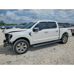 2021 FORD All Models 1FTFW1E89MFA32686 49657486
