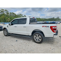 2021 FORD All Models 1FTFW1E89MFA32686 49657486