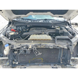 2021 FORD All Models 1FTFW1E89MFA32686 49657486