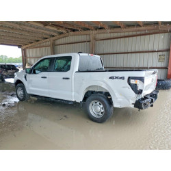 2024 FORD F150 1FTFW1L56RKD08460 50759866