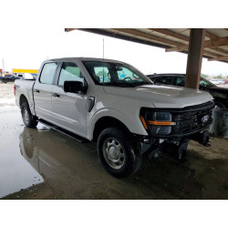 2024 FORD F150 1FTFW1L56RKD08460 50759866