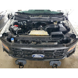 2024 FORD F150 1FTFW1L56RKD08460 50759866