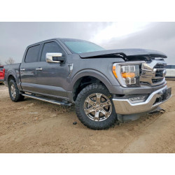 2022 FORD F-150 1FTEW1CP4NKD55798 76835895