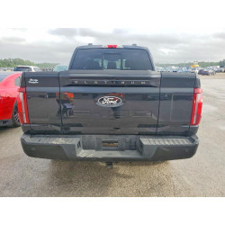 2025 FORD F150 1FTFW7LD1SFA55735 79830855