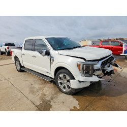 2023 FORD All Models 1FTFW1ED7PFA09957 41808006