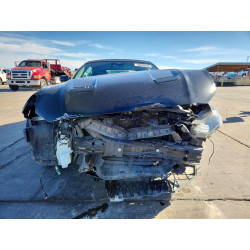 2021 FORD ALL Models 1FATP8UH9M5115833 46618766