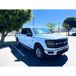 2024 FORD All Models 1FTFW3LD6RFA25178 50101346