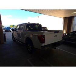 2024 FORD All Models 1FTFW3LD6RFA25178 50101346