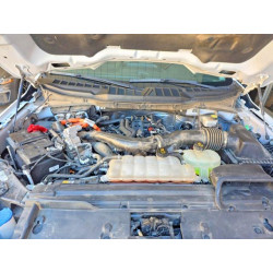 2024 FORD All Models 1FTFW3LD6RFA25178 50101346
