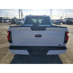 2023 FORD F150 LIGHT 1FTVW1EL8PWG56550 50959136
