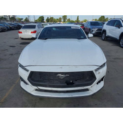 2024 FORD ALL Models 1FA6P8TH1R5140800 51155856