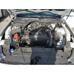 2024 FORD ALL Models 1FA6P8TH1R5140800 51155856