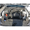 2024 FORD ALL Models 1FA6P8TH1R5140800 51155856