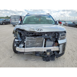 2025 HYUNDAI SANTA FE H 5NMP54G16SH059384 42015946