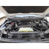 2025 FORD EXPEDITION 1FMJU1RG4SEA08540 50343246